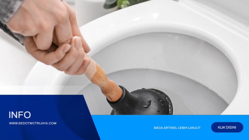 Jasa-Sedot-WC-Depok