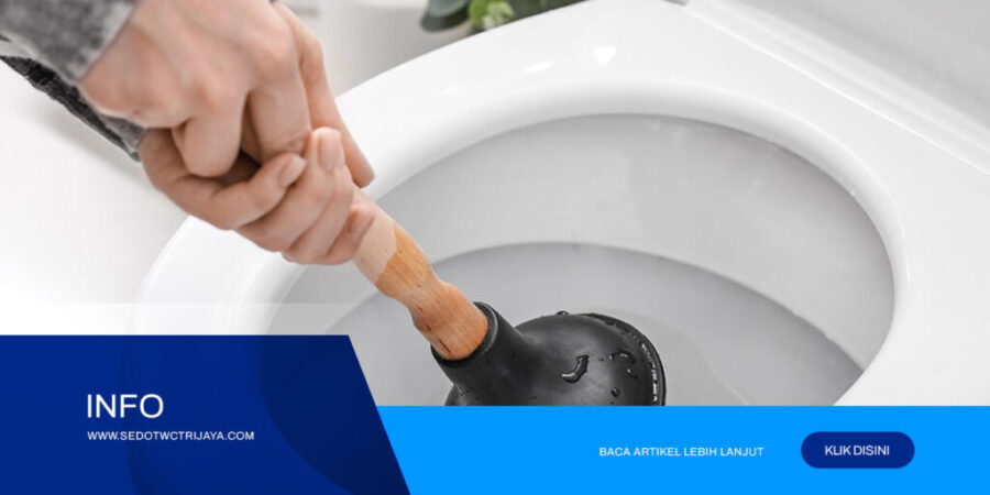 Jasa-Sedot-WC-Depok